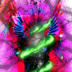 Flight In The Night Sky