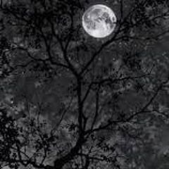 DRYING - FAR FROM THE BIOSPHERE (SRULX REMIX)