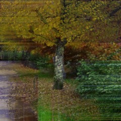 Walk In The Rain
