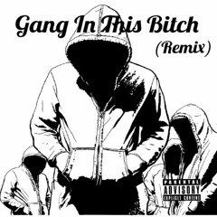 Gang In This Bitch (Remix)