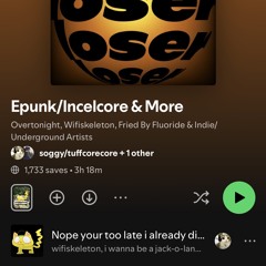 You're Not Incelcore (Acoustic XO_Willow cover)