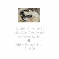 Rooftop Antenna (2) Episode 7 - "Snow Tones"