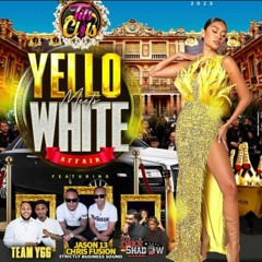 YELLO & WHITE - LIVE AUDIO - APRIL 2023