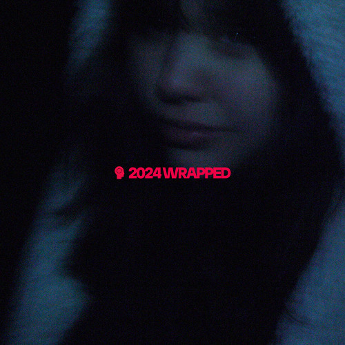 nulldesign 2024 WRAPPED
