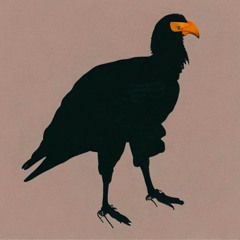 VULTURES (PROD. VIBANIA)