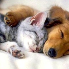 lets be friends