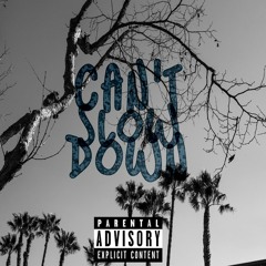 Can't Slow Down [Prod. by Mega Beats]