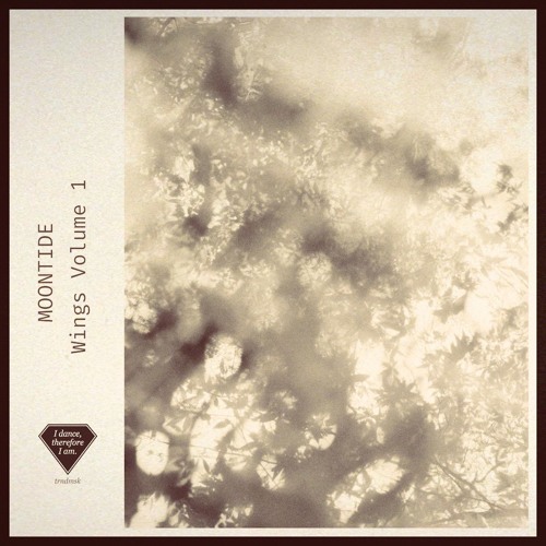 Moontide - Le Plus Grand Amour [trndmsk]