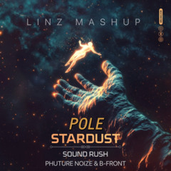 POLESTARDUST (LINZ KICK EDIT MASHUP)