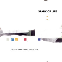 NO ONE HATES ME MORE THAN ME