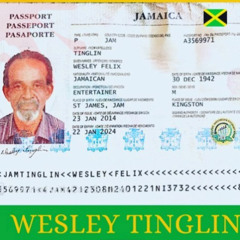 The Viceroys- Trod On