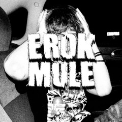 Erok Mule