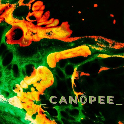 |•_CANōPEE_•|