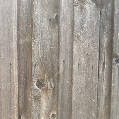 Fenceposts (7 in 7 2020 day 2)