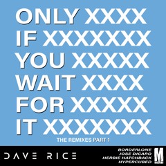 Dave Rice - Only If You Wait For It (Jose Dicaro Remix)