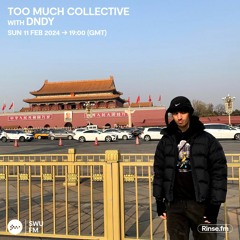 Too Much Collective with DNDY - 11 February 2024