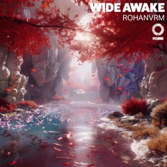 rohanvrm - Wide Awake [Outertone Release]