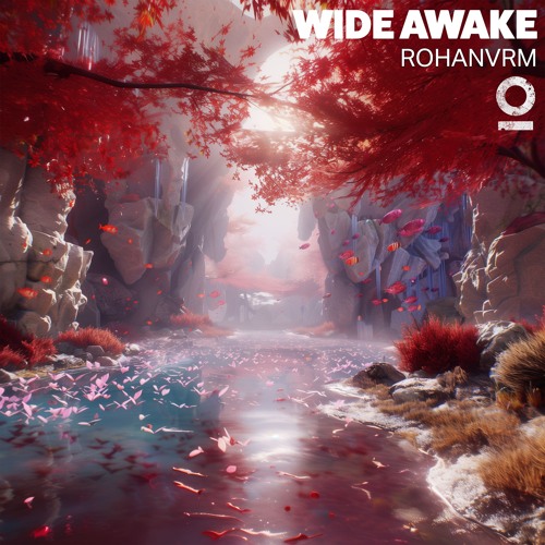 rohanvrm - Wide Awake [Outertone Release]