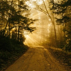 Does "The Path" Choose Us?