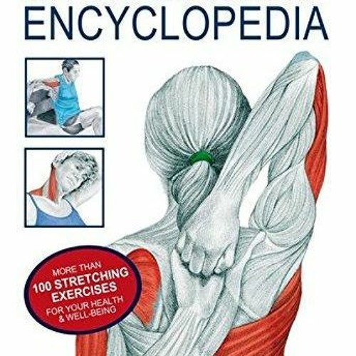Free online stretching exercises sale