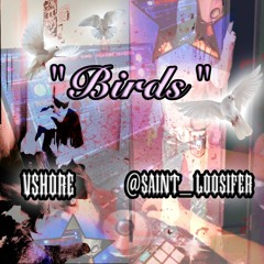 VSHORE X @SAINT_LOOSIFER - "BIRDS" (PROD.SAINTLOOSIFER)