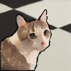 tilecat - zipper (full unmastered)