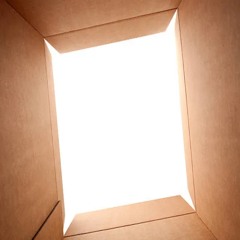 the box (prodbyglok)