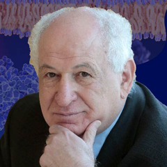 Joseph Schlessinger | Discovering how receptor tyrosine kinases are activated and signals