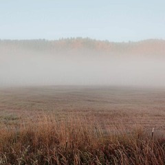 Empty Fields