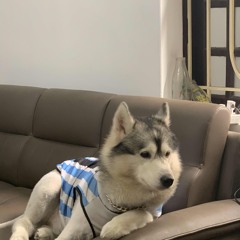 em co doi tin nhan toi khong?