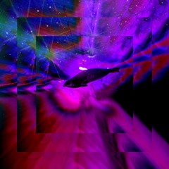 Jaimee & Accentbuster - Magnetopause