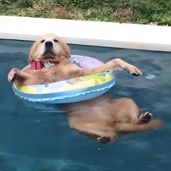 21MESURES - SUMMER SESH FOR MAMASS AND JAUBERT - Hybrid B2B