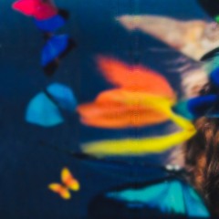 Fastmoney JP - Butterflies