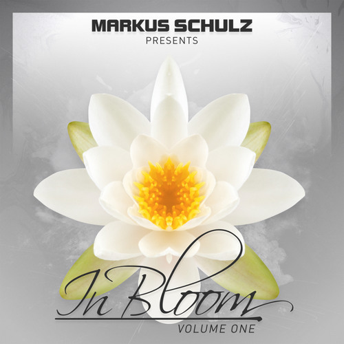 schulz in bloom