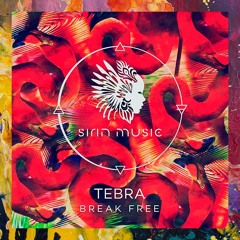 PREMIERE: Tebra — Svest (Original Mix) [Sirin Music]