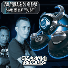 Voltura & DJ Gizmo - Show Me What You Got
