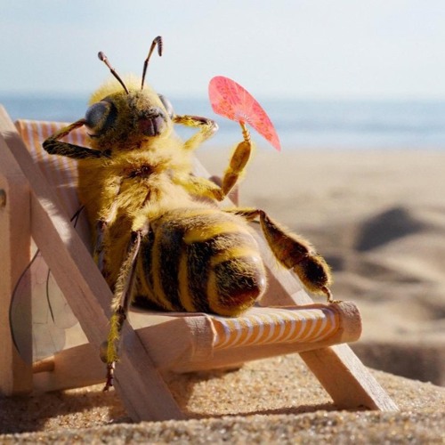 The Pollen Song