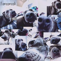 Fonzonzoli