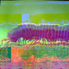 ABDAB - CIENPIES 5000