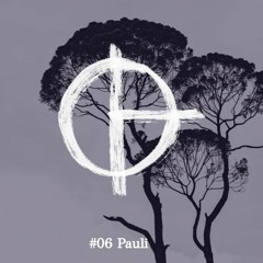 C13.06 - Pauli