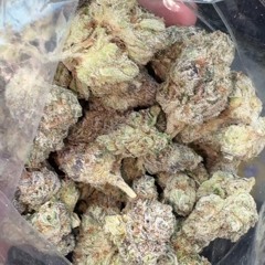 Gas n Jimmy Choo x 135baby