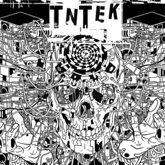 TNTEK