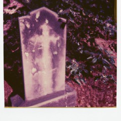 aokigahara