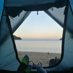 Vernier - NextSteps - May2021