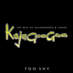 Too Shy (2004 Remaster)