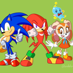 Sonic Advance 2 - Options