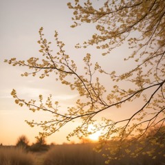 Calm In The Breeze