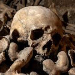 Before Catacombes