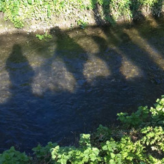 moonage day dream (cover)