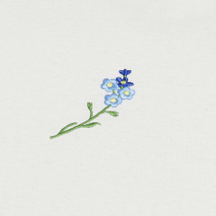 꽃샘